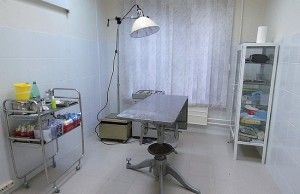 Клиника фауна нижний новгород